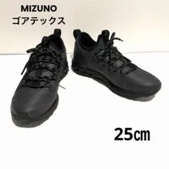 美品★MIZUNO ウェーブエボーグGTX 25センチ　ウォーキングシューズのサムネイル
