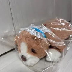 ディズニーストア　ペンケース　ピーターパン　ナナ　新品未使用　ポーチ