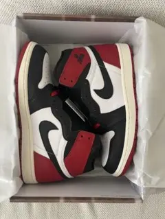 Air Jordan 1 Retro High OG 28.0㎝ 新品未使用