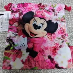 ディズニー公式　イマジニングマジック　実写ミニーマウス　巾着　完売品　新品