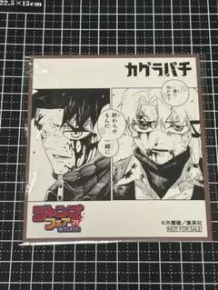 ジャンプフェア 2025 アニメイト ミニ色紙 カグラバチ