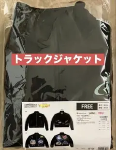 ポケモンセンター トラックジャケット ポケミク 18 Harmony Stage