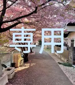 みつこ様 リクエスト 3点 まとめ商品