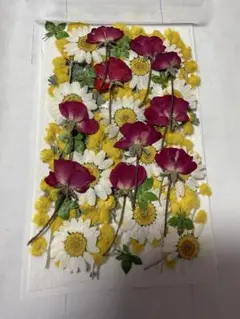 押し花バラと小花セット訳あり