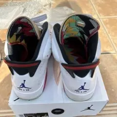 Air Jordan 6 Retro サイズ7