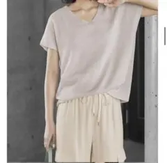 値下　STYLE DELI ドライなVネックシアーニットトップス グレージュ Fのサムネイル