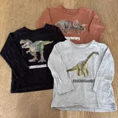恐竜プリント長袖Tシャツ3枚セット
