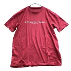 WONDERFUL WORLD カネコイサオ 赤ロゴTシャツ 半袖オーバーサイズのサムネイル