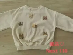 スパンコール 110