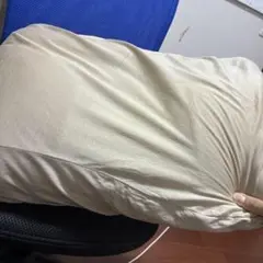 枕カバー付き