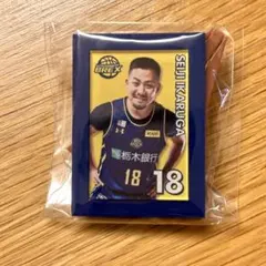 宇都宮ブレックス 選手ミニチュアアートイーゼル #18 鵤誠司