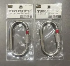 Item thumbnail for item c977ba1c-595b-4389-b196-9298d62c64c1