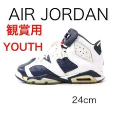 D7344-g3エアジョーダン 6レトロ オリンピック 384665-130