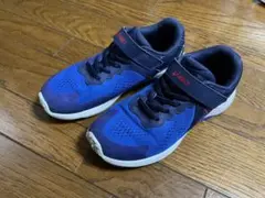 Item thumbnail for item ae3fd6c9-7f3f-46da-950f-ca929bf5b066