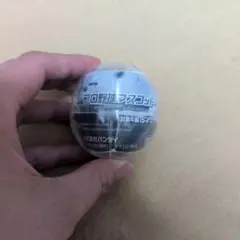 プロ野球マスコット めじるしアクセサリー　レオ