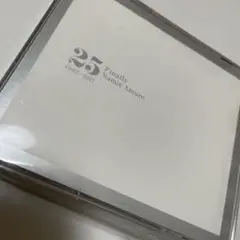 安室奈美恵/25 Finally Namie Amuro 1992-2017