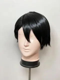 桃寺神門 ウィッグ コスプレ ウィッグ キャラウィッグ 桃源暗鬼 - メルカリ