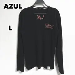 AZUL 刺繍入りカットソー Ｌ メンズ Vネック ストリート カジュアル