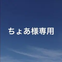ちょあ！@3~5日は大処分SALE‼️様 リクエスト 2点 まとめ商品