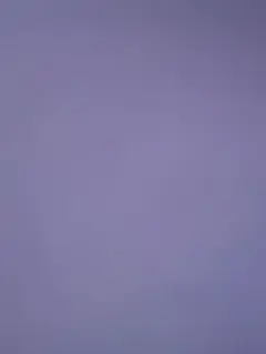 参照写真