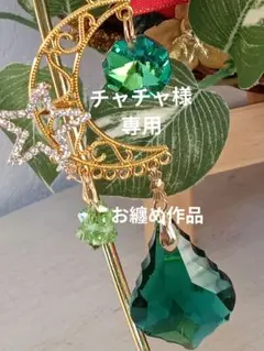 【No.893】✨チャチャ様／2点の お纏め専用