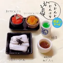 ＊うどんとどんぶり＊ミニチュアフード