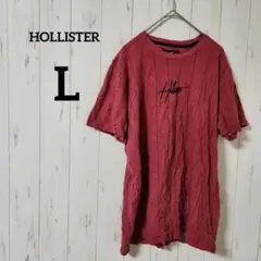 HOLLISTER【L】 Tシャツ 赤 ストライプ 100%コットン 刺繍ロゴ