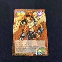 2025年最新】シャーマンキング ハオ スペシャルの人気アイテム