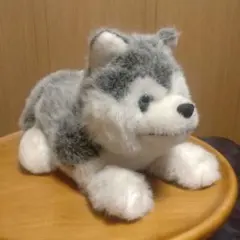 ヒロクンハウス サルのぬいぐるみ5体セット - メルカリ