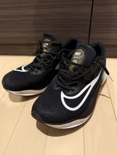 Item thumbnail for item a0fecc38-25f1-42f2-8cbe-ecea86d773e1