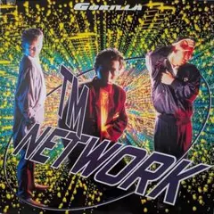 TM NETWORK ゴリラ GORILLA アナログ盤 12インチ盤 邦楽