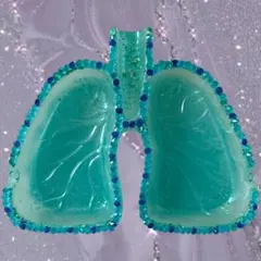 肺皿　灰皿　小物入れ