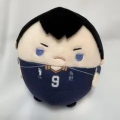 ハイキュー!! ふわコロりん　Mサイズ 北一　及川徹・影山飛雄 ハイキュー！！ ふわコロりんBIG6 A 影山飛雄[タカラトミー