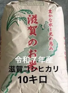 令和7年滋賀県産 コシヒカリ1等【玄米10kg】石抜き済 色選別済み全国送込みのサムネイル