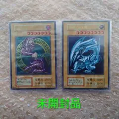 2025年最新】ブラック・マジシャン ステンレスの人気アイテム