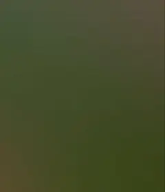 (๑•ૅㅁ•๑)様専用