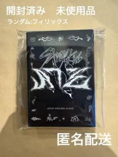 スキズ StrayKids ATE nemo