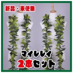 【新品・フラ衣装】2本セット マイレレイ レイポオ フラダンス オープンマイレ