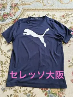 PUMA セレッソ大阪 Tシャツ Lサイズのサムネイル