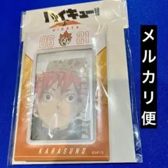 ハイキュー 日向 バースデイカードホルダー