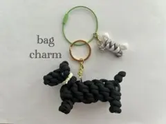 犬　パラコード立体キーホルダー　ダックスフント　黒　骨チャームセット