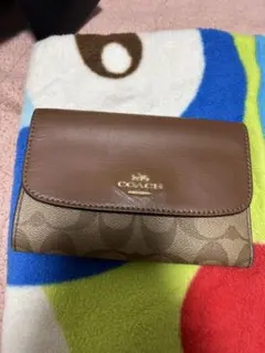 Item thumbnail for item b98bb111-cc0a-49b0-9680-9daf0bdff217