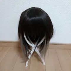 コスプレ ウィッグ 黒 シルバー 取り外し可のサムネイル