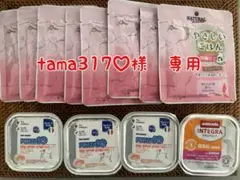 Item thumbnail for item 26929b18-e9ca-41af-aa30-45f7d600520a