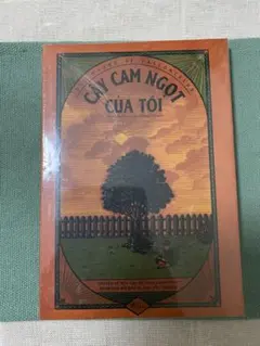 To様 リクエスト 2点 まとめ商品