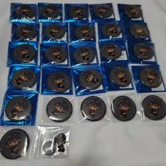 イナイレ 円堂ハル まねきねこ 缶バッジ39個 アクスタ フォトカード