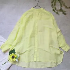 美品✨IENA イエナ ラミーリヨセルバックギャザーシャツ　バンドカラー　洗えるのサムネイル