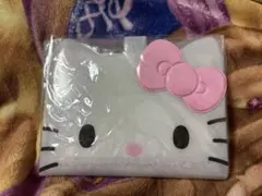 アイラブハローキティ バインダー sanrio サンリオ ピンク 入手困難