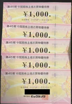 ビックカメラ 株主優待券 5000円分