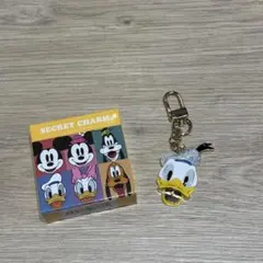 ディズニーストア シークレットチャーム ドナルド